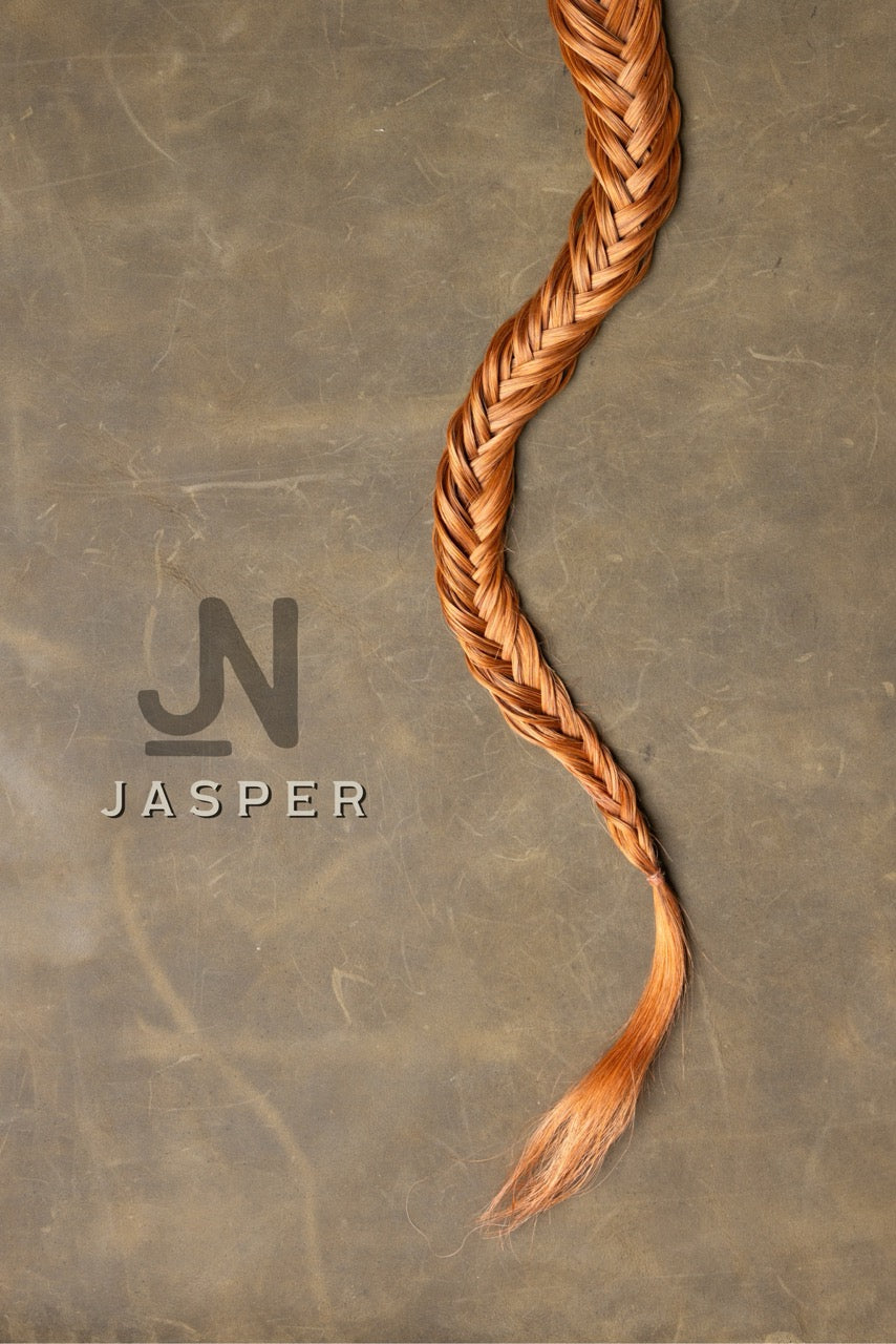 Tail - Jasper